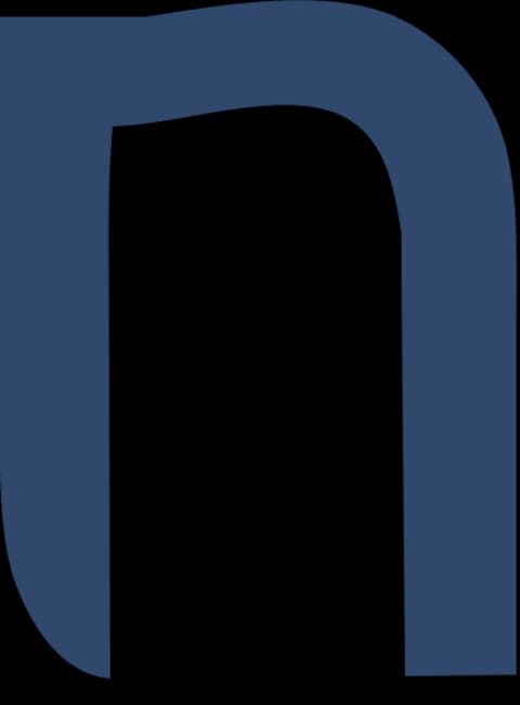 N logo